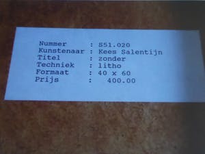 Kees Salentijn - Litho Kees Salentijn - zonder titel - in zware lijst - GAAF kopen? Bied vanaf 95!