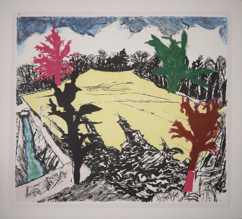 Hans Ebeling Koning - Hans Ebeling Koning: Litho, Z.T.  kopen? Bied vanaf 1!