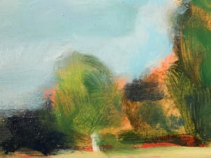 Saskia Wevers - Fries landschap kopen? Bied vanaf 90!