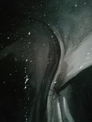 Niet of onleesbaar gesigneerd - Skull kopen? Bied vanaf 10!