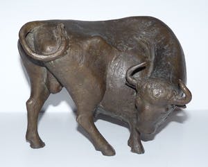 Evert den Hartog - Stier kopen? Bied vanaf 750!