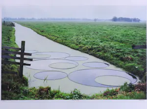 Erik van Hoorn - Foto, Dead End 2 - Ingelijst kopen? Bied vanaf 40!