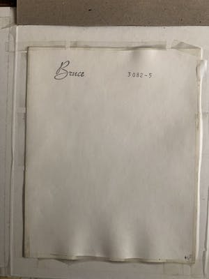 Bruce of Los Angeles - JOË D’ALLESSANDRO kopen? Bied vanaf 700!