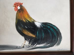 Henk Poeder - Phoenix cock kopen? Bied vanaf 35!
