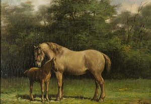 Klaas van Vliet - Olieverf op paneel, Paard met veulen - Ingelijst kopen? Bied vanaf 150!