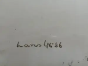Hans Lie - JUDOKA’ S kopen? Bied vanaf 79!