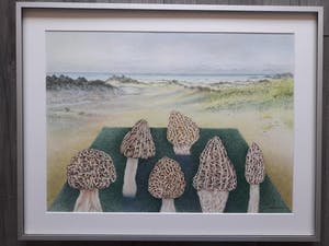 Ank Overweel - Spel met paddestoelen (1) kopen? Bied vanaf 65!