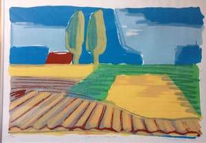 Willem Brauck - Goudvloed kopen? Bied vanaf 25!