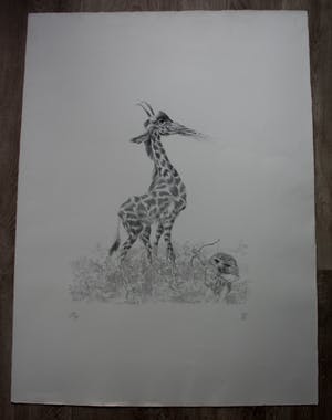 Peter Vos - Litho: De ontdekking van de giraffe kopen? Bied vanaf 150!