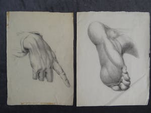 Niet of onleesbaar gesigneerd - Antieke studietekeningen van hand en voet kopen? Bied vanaf 1!