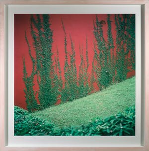 Eva Roovers - Foto, Sao Paulo 1 - Ingelijst (Groot) kopen? Bied vanaf 150!