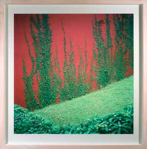 Eva Roovers - Foto, Sao Paulo 1 - Ingelijst (Groot) verkocht voor € 150!