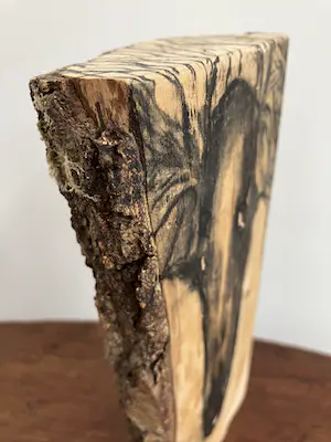 Emile van der Kruk - Greyhound kopen? Bied vanaf 1!