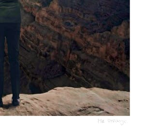 Mr. Strange - L'AGENT IMMOBILIER kopen? Bied vanaf 65!