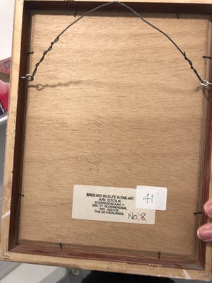 Ari Stolk - Birds And wild life in fine art kopen? Bied vanaf 750!