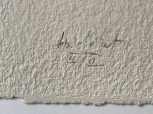 Francis Mean - Quand les nuages sont plein de pluie kopen? Bied vanaf 140!