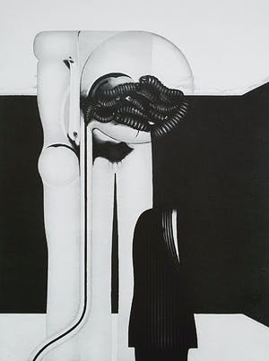 Gerd van Dulmen - Surrealistische voorstelling met wormen, ets kopen? Bied vanaf 35!