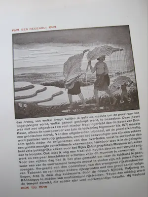 Antiquarisch Boek - WOJ Nieuwenkamp Zwerftochten op Bali. kopen? Bied vanaf 50!