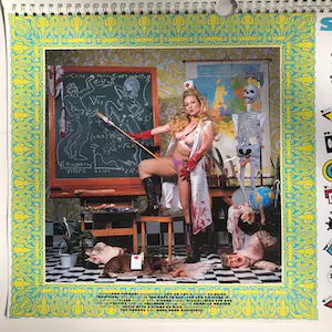 Erwin Olaf - RoXY Pin-Ups Calender kopen? Bied vanaf 80!