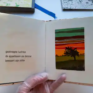 Hans van Draanen - Haiku in duplo verkauft für € 60!