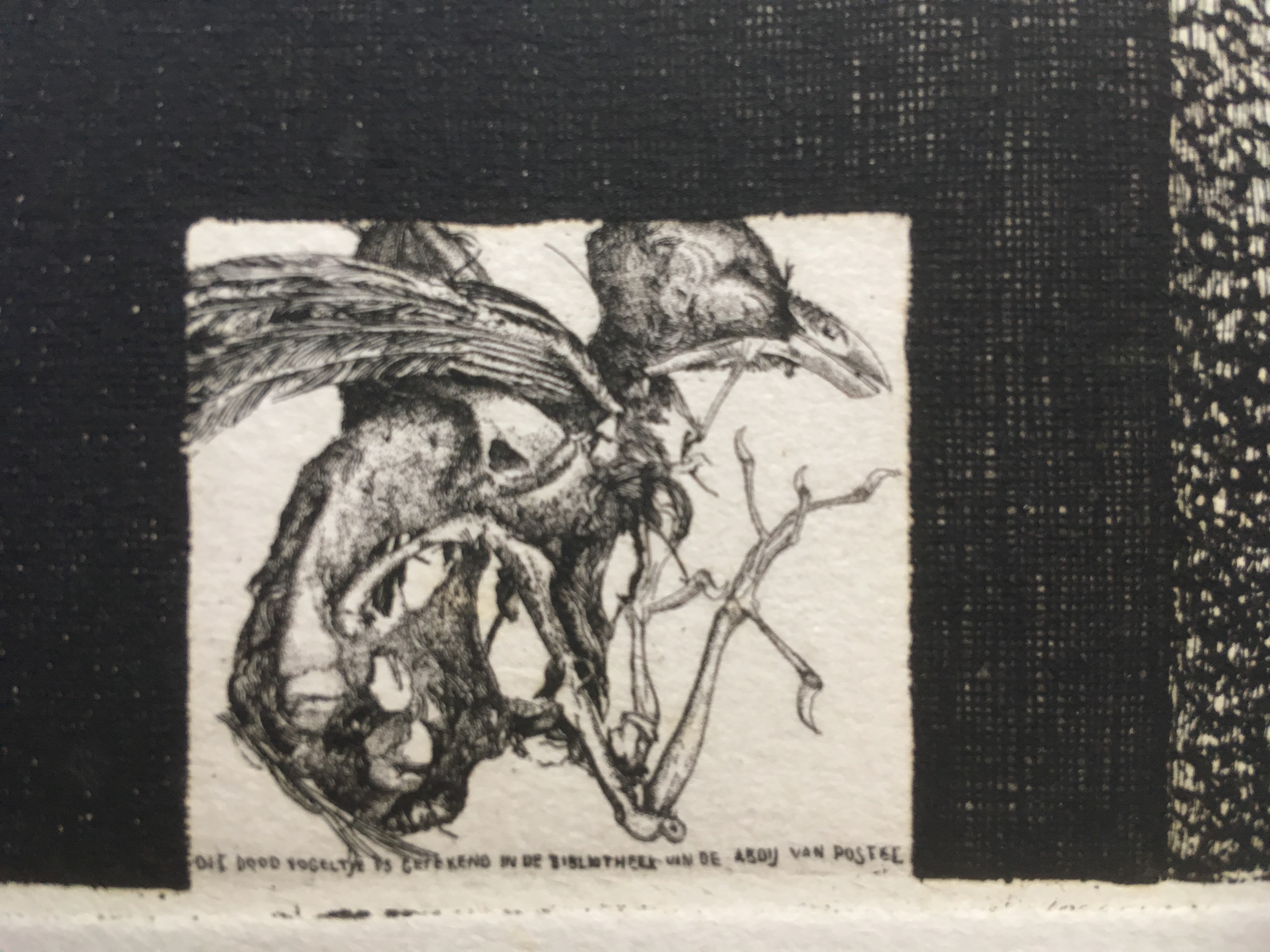 Louis Baltussen - zonder titel kopen? Bied vanaf 20!