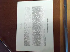 Karin Bos - Appearance/ Disappearence kopen? Bied vanaf 20!