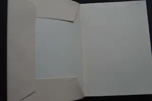 Kees van Dongen - La lettre écarlate. kopen? Bied vanaf 50!