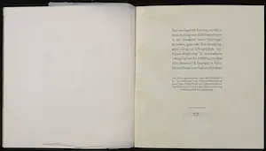 Pierre Alechinsky - Oeuvrecatalogus met litho omslag en losse ets, 20 Jahre Impressionen kopen? Bied vanaf 200!