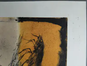 Ru van Rossem - Metamorfose - gesigneerde reliëf ets kopen? Bied vanaf 99!