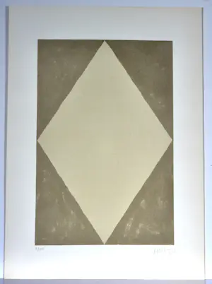 Dan Van Severen - Lithografie, 70x50 cm, gesigneerd, 1975 kopen? Bied vanaf 180!
