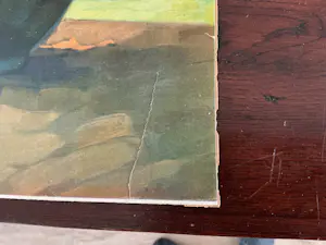 Anna Sophie Gasteiger - Zonnebloemen kopen? Bied vanaf 20!