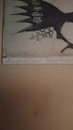 Sam Parabirsingh - Vogel kopen? Bied vanaf 25!