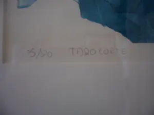 Sylvia Oudkerk - kleurenets - Titel, Tazacorte, ingelijst kopen? Bied vanaf 40!