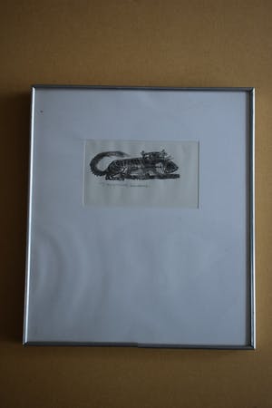 Theo Kurpershoek - litho - Kat met Vis. kopen? Bied vanaf 50!