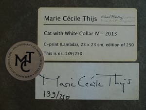 Marie Cecile Thijs - Ingelijste foto uit de serie 'White Collar', Cat with White Collar IV - 2013 kopen? Bied vanaf 1500!