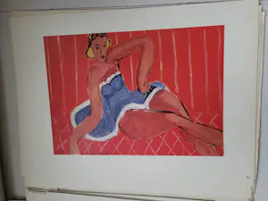 Henri Matisse - Kunstmap Matisse - Gemälde 1939-1946 - compleet kopen? Bied vanaf 125!