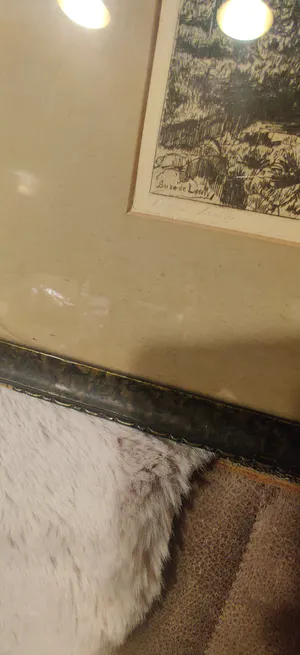 Suze de Lint - Eigendruk ets kopen? Bied vanaf 29!