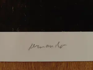 Armando - Waldrand kopen? Bied vanaf 60!