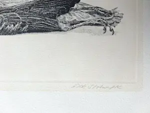 AcheterDick Stolwijk - Dode vogel? Enchérissez de 50!