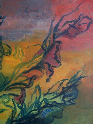 Anita van der Weg - Gladiolen kopen? Bied vanaf 75!