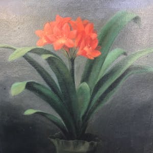 Niet of onleesbaar gesigneerd - Clivia in bloei kopen? Bied vanaf 1!
