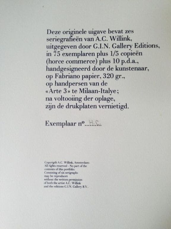 Carel Willink - De Tate Gallery verplaatst, zeefdruk (prachtig ingelijst, groot) kopen? Bied vanaf 695!