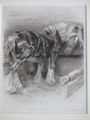 Kuno Brinks - Paard in de stal - Gravure kopen? Bied vanaf 100!