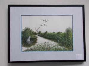 Ari Stolk - Invallende wilde eenden kopen? Bied vanaf 75!