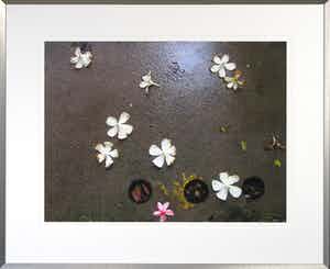 Mark Verdoes - Gemengde techniek op papier, Fallen Angels - Ingelijst verkocht voor € 1!