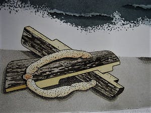 Sjoerd Bakker - gesigneerde Ets en aquatint "Vroeg in de ochtend" oplage 100 ex. kopen? Bied vanaf 30!