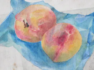 Jos van den Berg - Twee perziken op tafel - Aquarel kopen? Bied vanaf 30!