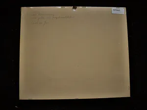 Toon Koster - Sfeervol impressionistisch Aquarel en Sepia "polderlandschap met molen" gesignee kopen? Bied vanaf 43!