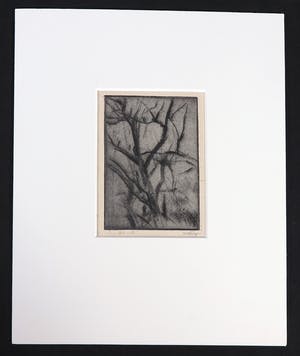 Wim Steijn - Ets, Struik kopen? Bied vanaf 20!