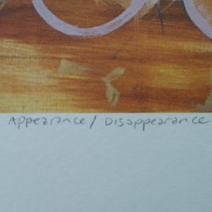Karin Bos - Appearance / Disappearance kopen? Bied vanaf 15!